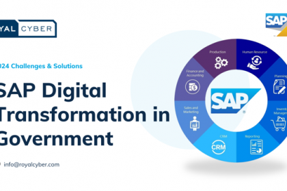 sap-digital-transformation-in-government:-2025-challenges-&-solutions