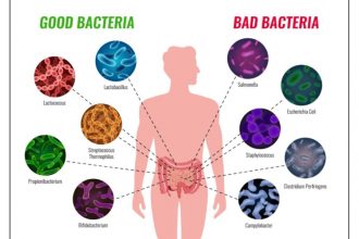 top-gut-health-supplements-2025-to-boost-your-digestion